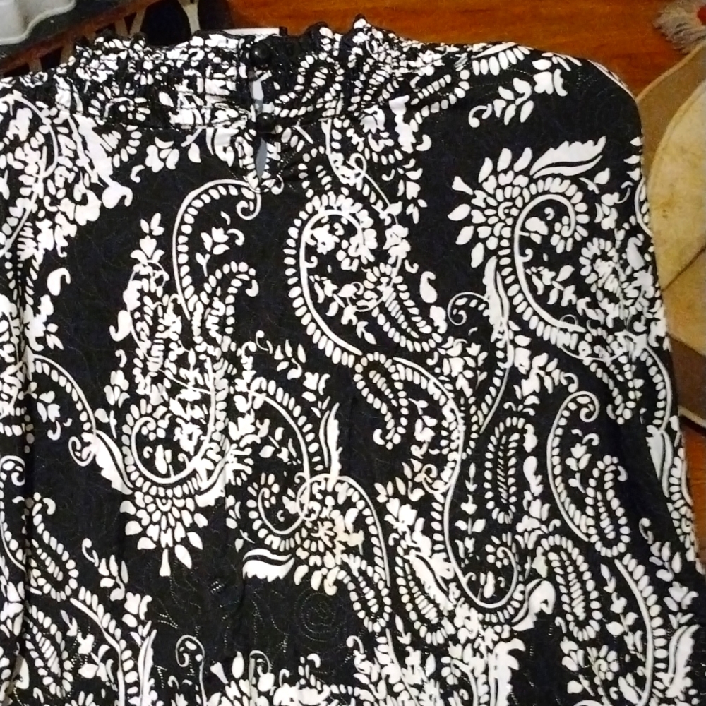 woman Casual, dress shirt.still in good shape nothing wrong